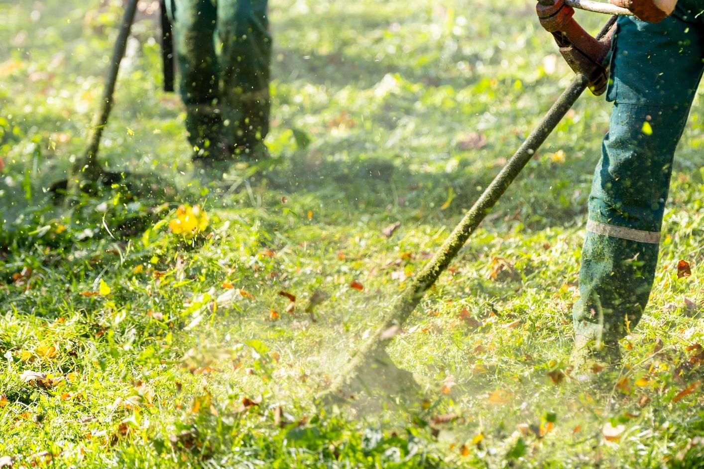 Two workers trimming grass with string trimmers in a park area.