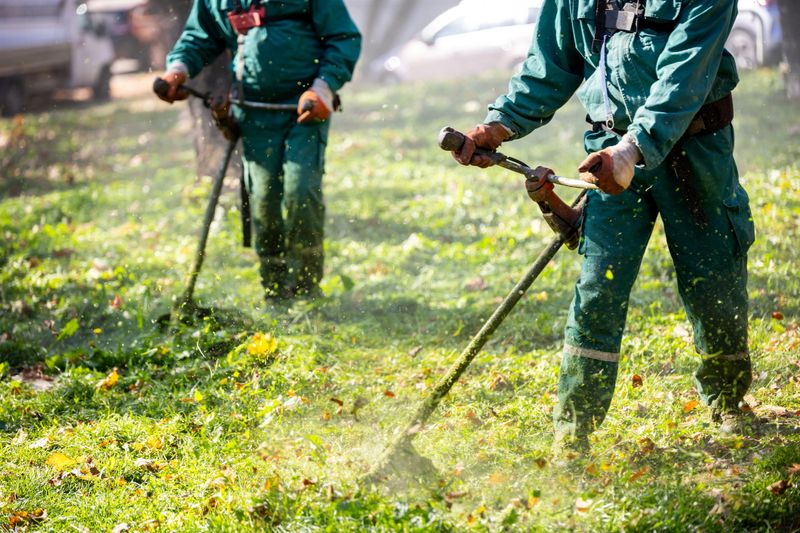 Two landscape workers are actively trimming grass and vegetation in a park, creating a neat and well-maintained outdoor space on a sunny day.