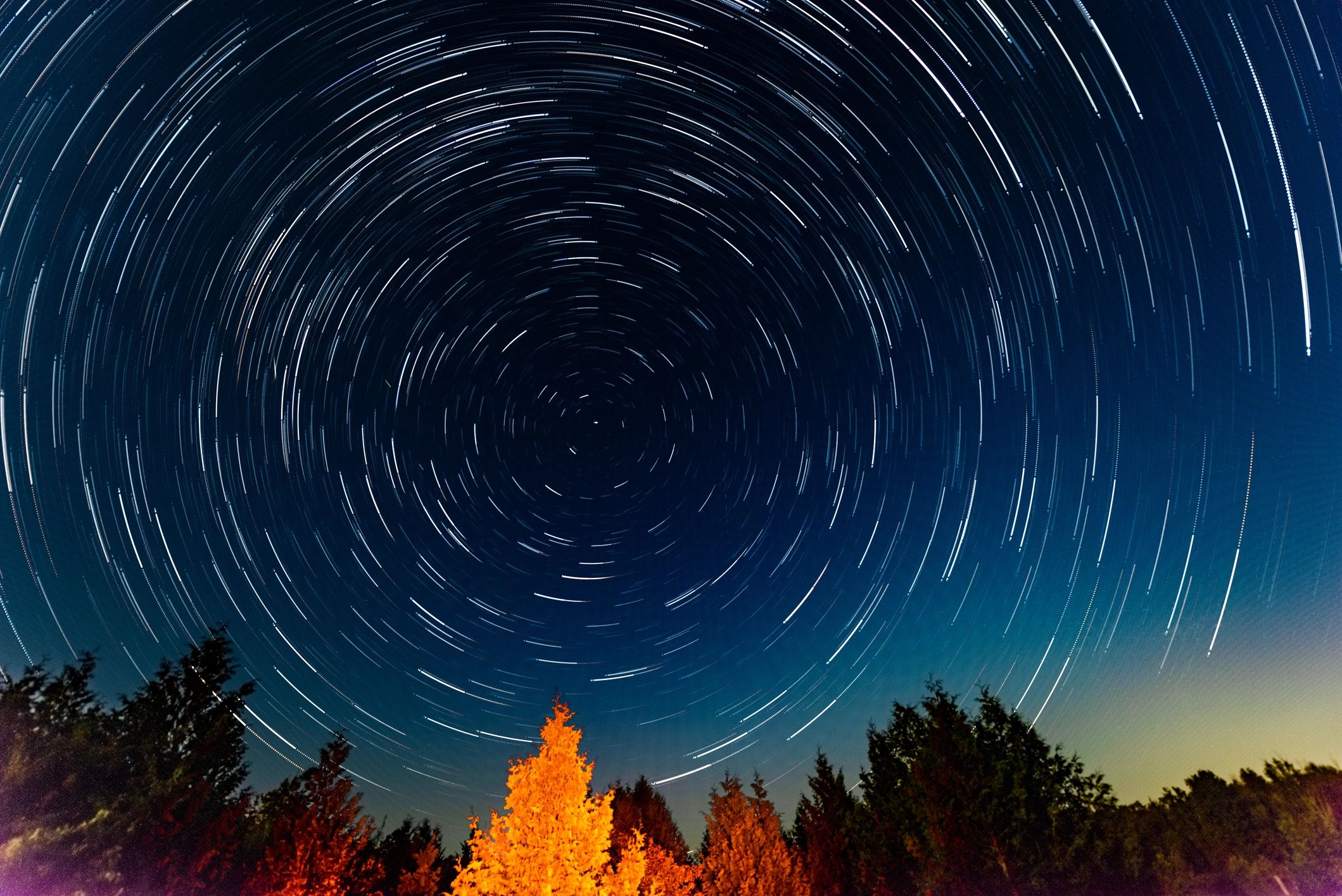 Circular star trails in the night sky above illuminated trees.