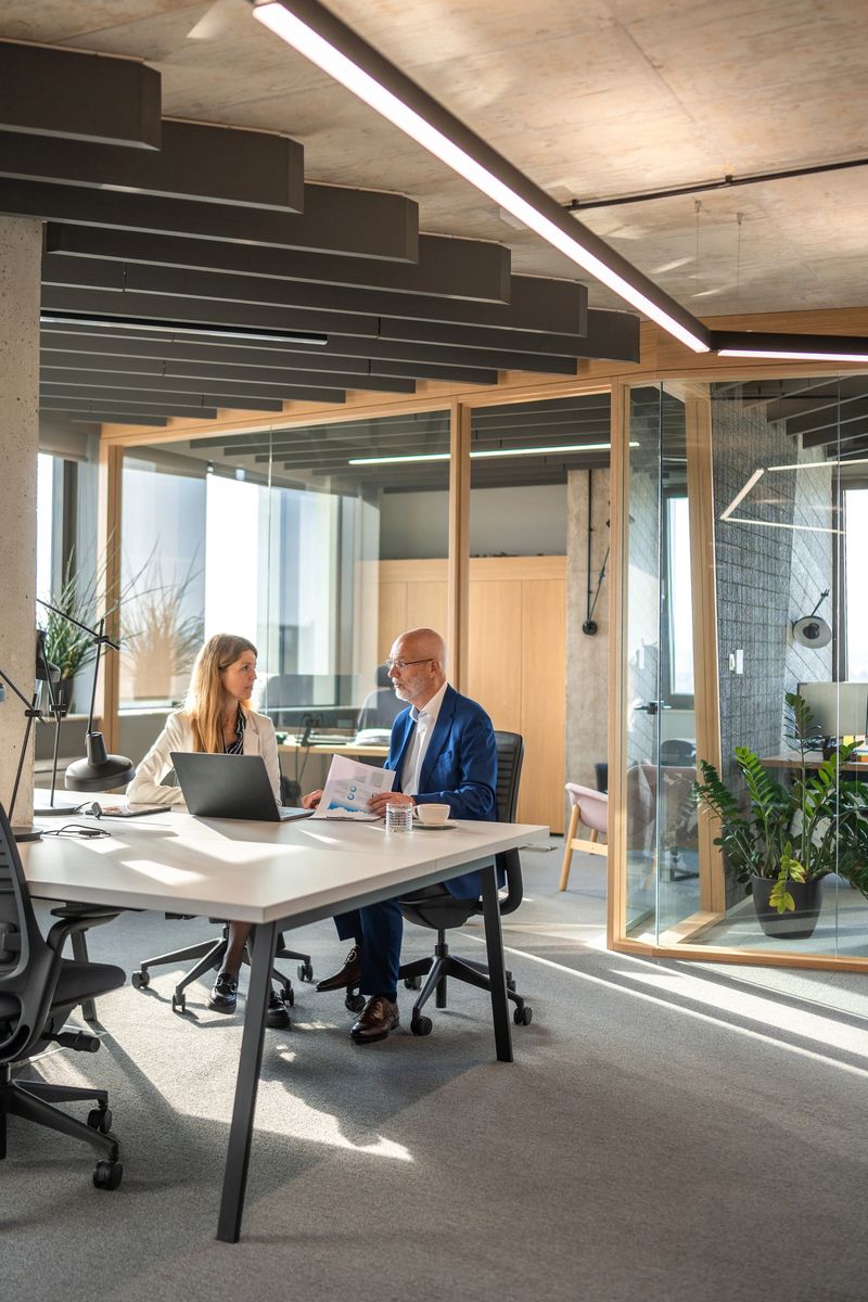 In a well-lit modern office, a mature Caucasian man in a suit and a mid-adult Caucasian woman analyze documents and utilize a laptop to devise a financial strategy.