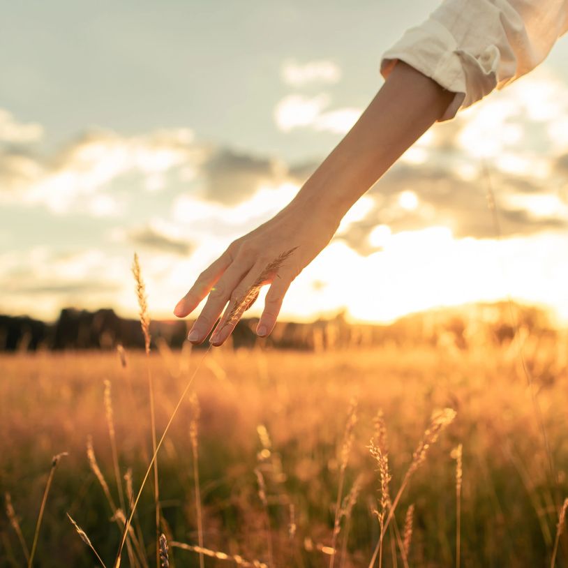 Justice for survivors – California lawyer for childhood sexual molestation and abuse cases