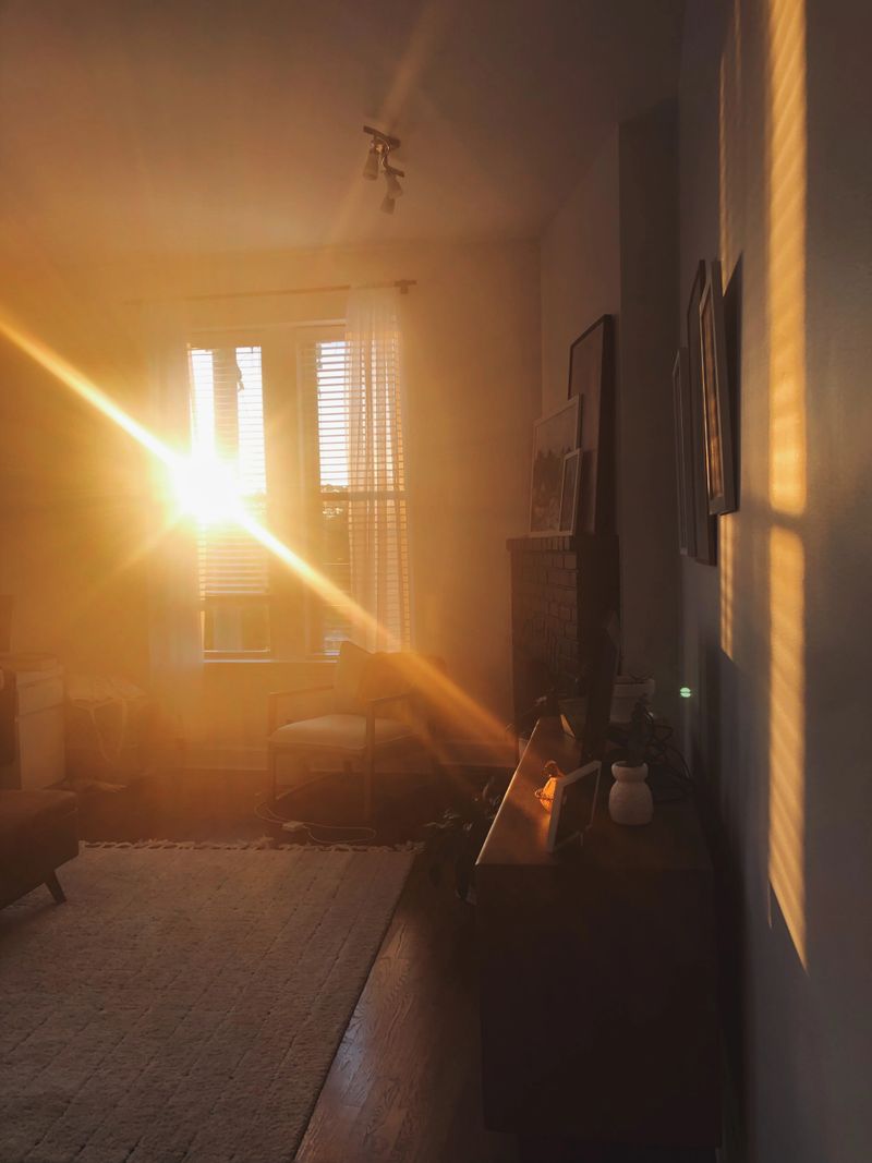 Mid-century modern living room with white rug black fireplace and golden yellow orange sunlight beams