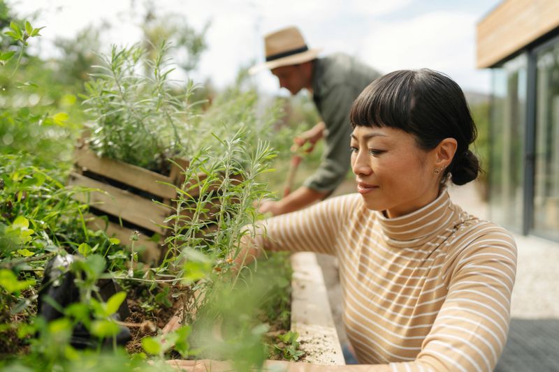 Photo of a woman tending herbs in a raised bed, in a green and lush backyard. Her friend gardening in the background