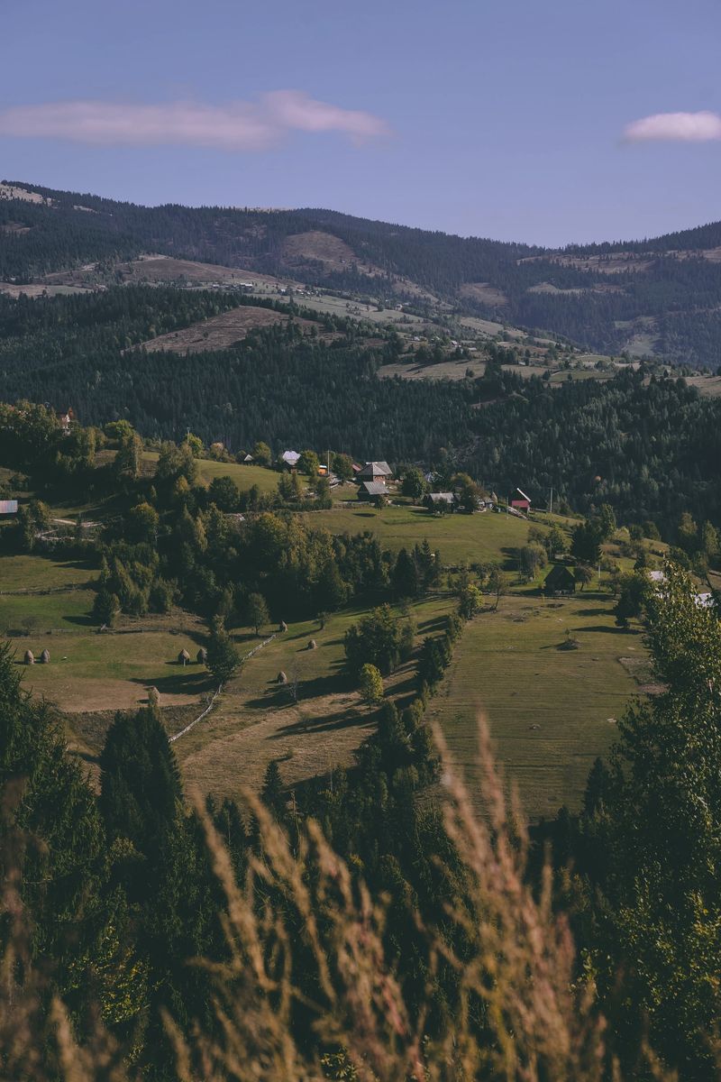 A serene landscape of Mătișești, featuring rolling hills, lush green fields, and the peaceful beauty of the countryside. This tranquil scene captures the essence of rural life, with its vast open spaces, scattered trees, and gentle slopes. The soft light and expansive views evoke a sense of calm and natural beauty, making it a perfect representation of the picturesque rural landscapes in Transylvania.