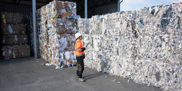 Worker in safety gear inspects large bales of compacted paper recycling.