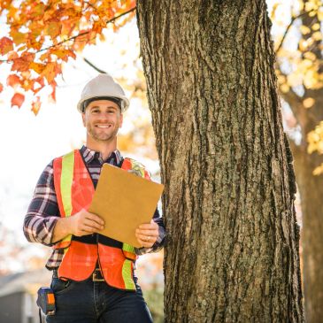 Smiling construction worker in safety gear holding clipboard by a tree.