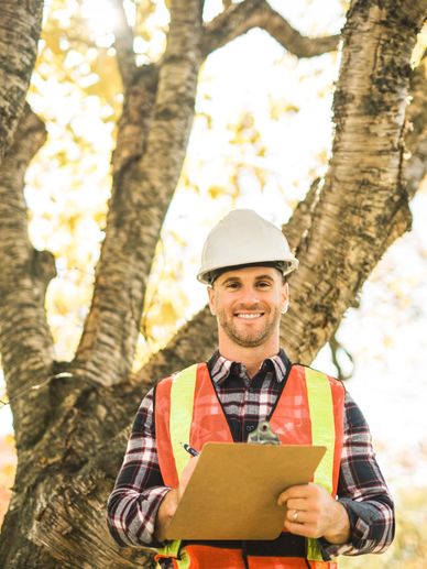 A&M Tree and Stump Grinding Services photo 5