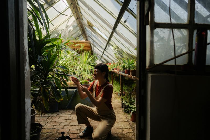 Photo of a woman checking on her plants in a bright greenhouse. Surrounded by greenery, she gently examines each one, making sure they’re healthy and happy