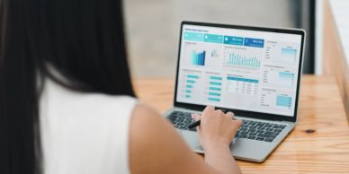 Person analyzing financial data on a laptop screen.