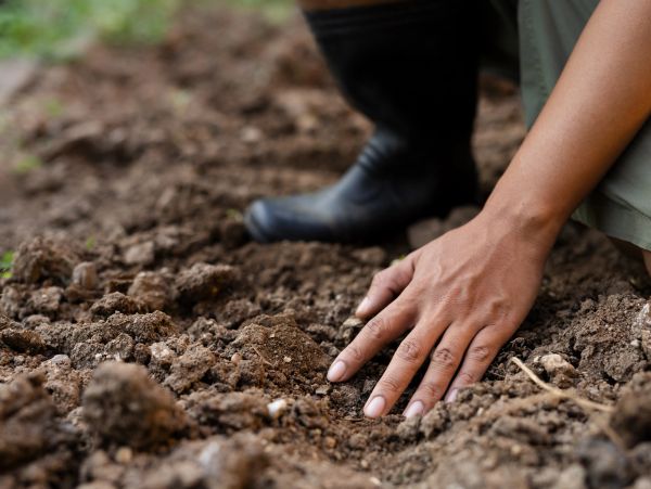 Soil picture