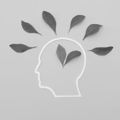 EMDR, memory processing