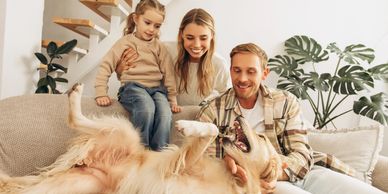 Coverage for individuals and families for all types of insurance.