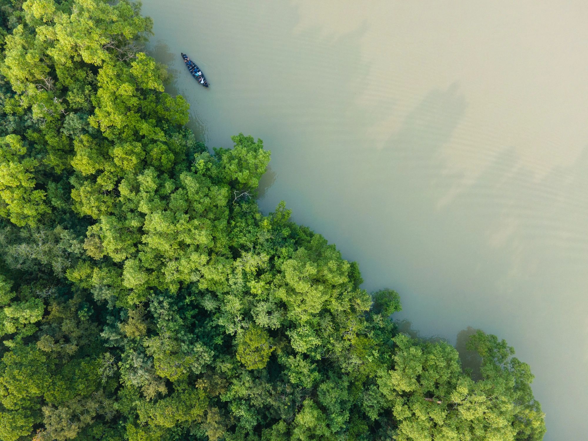 Aerial view of a boat near dense green forest along a river.