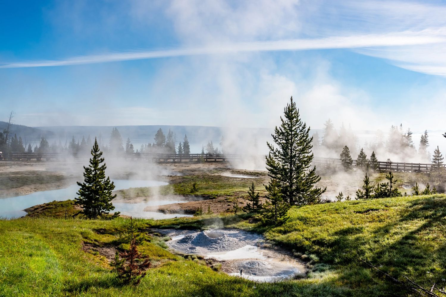 A geothermal area with steam vents surrounded by pine trees and green grass under a blue sky.