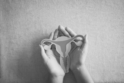 Hands holding a paper cutout of a female reproductive system model.