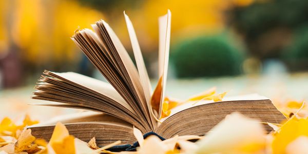 An open book lies among yellow autumn leaves outdoors.
