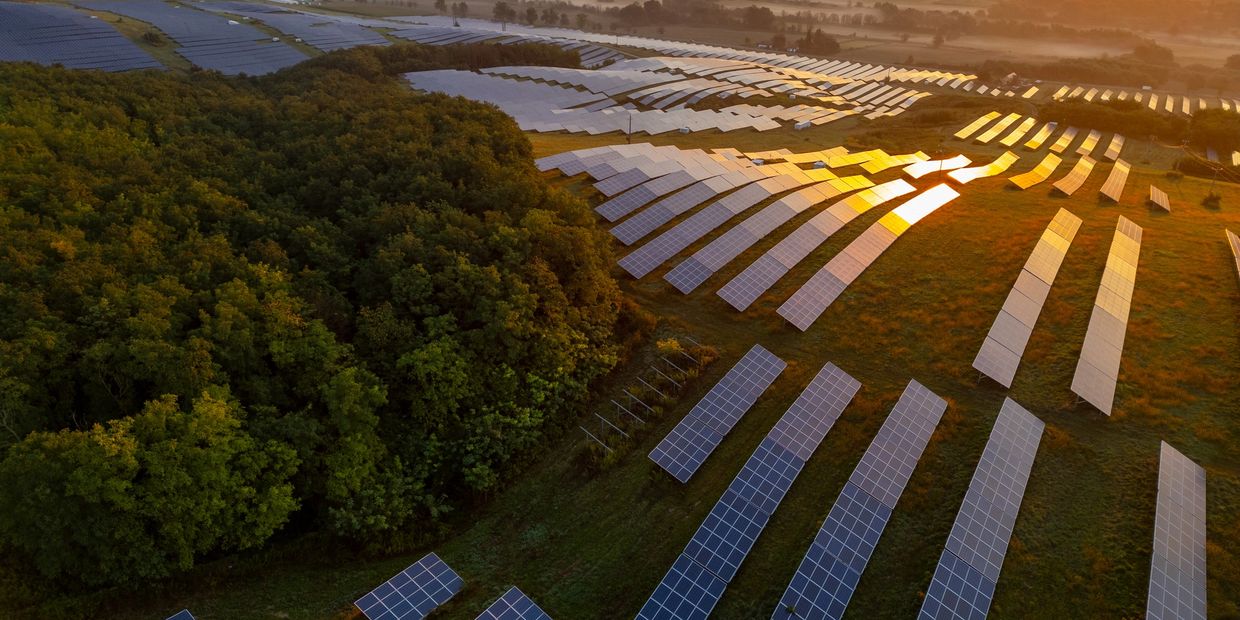 A large solar farm next to a dense forest during golden hour.