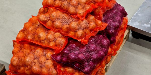 Sacks of onions in red and purple mesh bags stacked on a pallet.