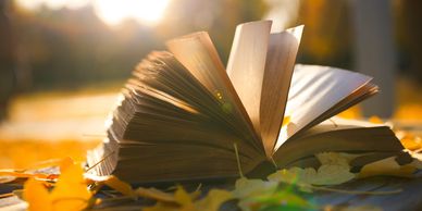An open book lies among autumn leaves, bathed in warm sunlight.