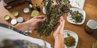 Person holding a bundle of dried herbs in their hands.