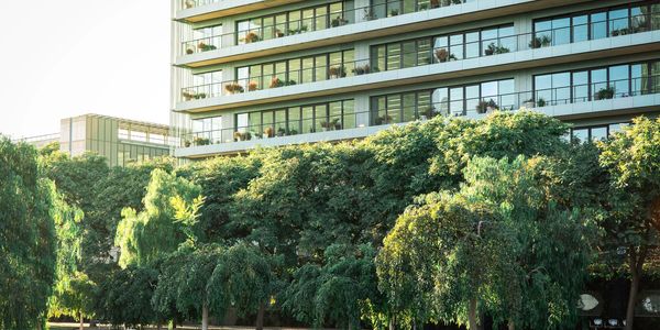 Modern building behind lush green trees.
