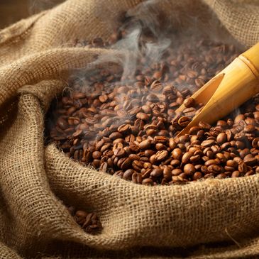 Saca aberta de café arábica torrado, com um provador dentro, saindo fumaça dos grãos