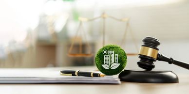 Helping people and companies navigate environmental challenges.