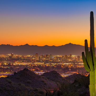 Cityscape with mountains and cactus at sunset.