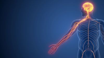 神經病理痛 / CRPS / 周邊神經痛