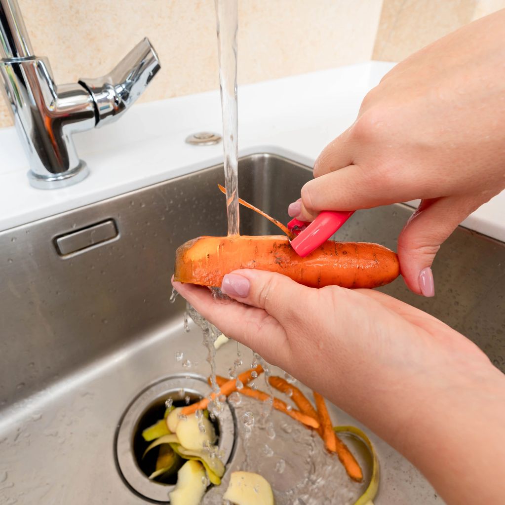 Garbage disposals freshening is included with all quarterly plans.