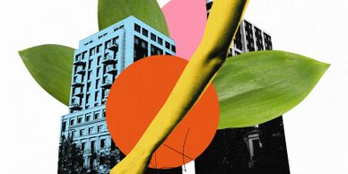 Abstract collage featuring buildings, leaves, and a yellow arm against geometric shapes.