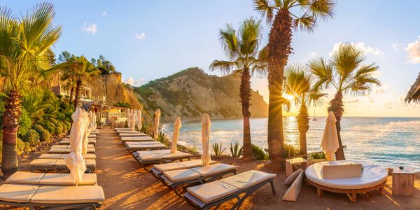 Sunset view of beach loungers and palm trees by the ocean.