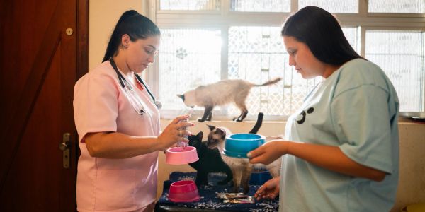Two women feeding cats indoors with pet bowls.