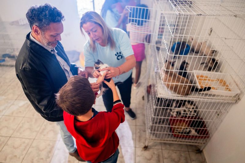 Volunteer showing cat to customers at an animal shelter