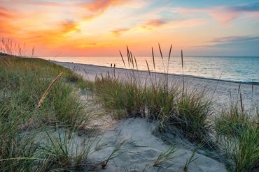 Sunset over a tranquil beach with tall grasses in the foreground.