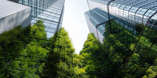 Skyscrapers reflecting lush green trees in their glass facades under a clear sky.