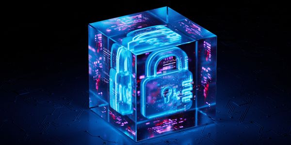 cube with lock rent_a_ciso