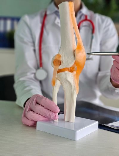 Doctor pointing at a model of a knee