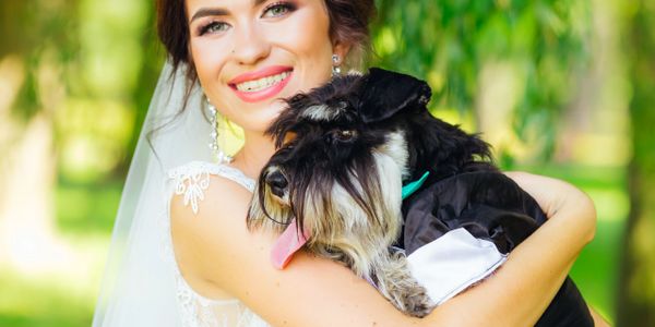 Pet Wedding Attendant