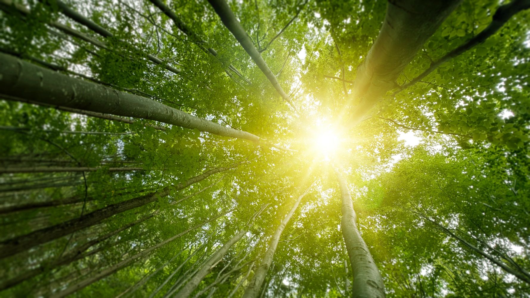 Flexible Business Support