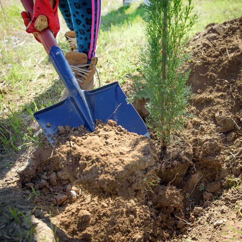 Community members planting trees in a green space garden