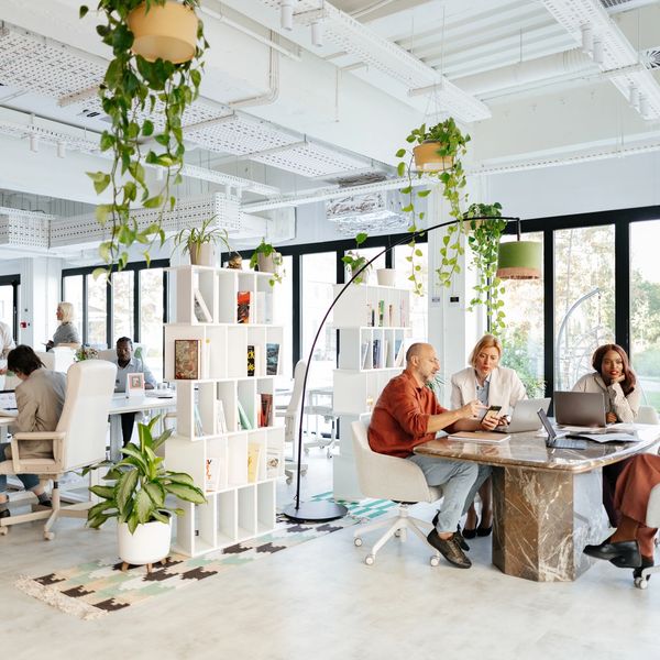 AI, Business Consultancy, Mergers and Acquisitions, POTs Replacement and Unified Communications.