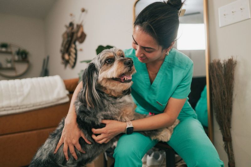 Female Doctor Returning from Work - Greeted By Dogs