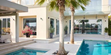 Modern patio with pool and palm trees.