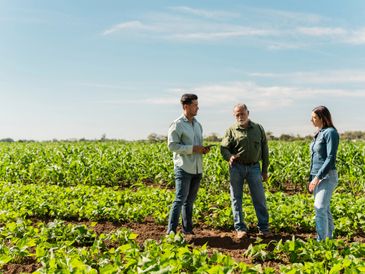 Three people discussing in a green field under a blue sky.
