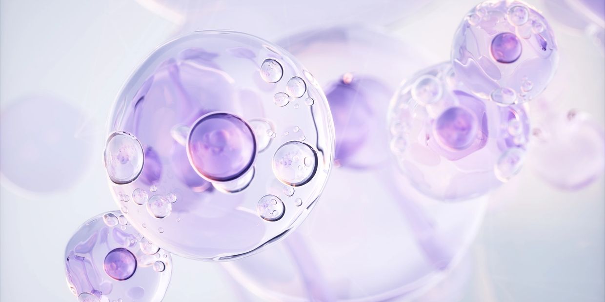 Transparent purple bubbles floating on a soft background.