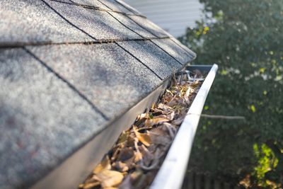 Dirty leaf filled gutter leaves in gutter gutter clean out