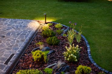 Garden pathway with plants and lighting.