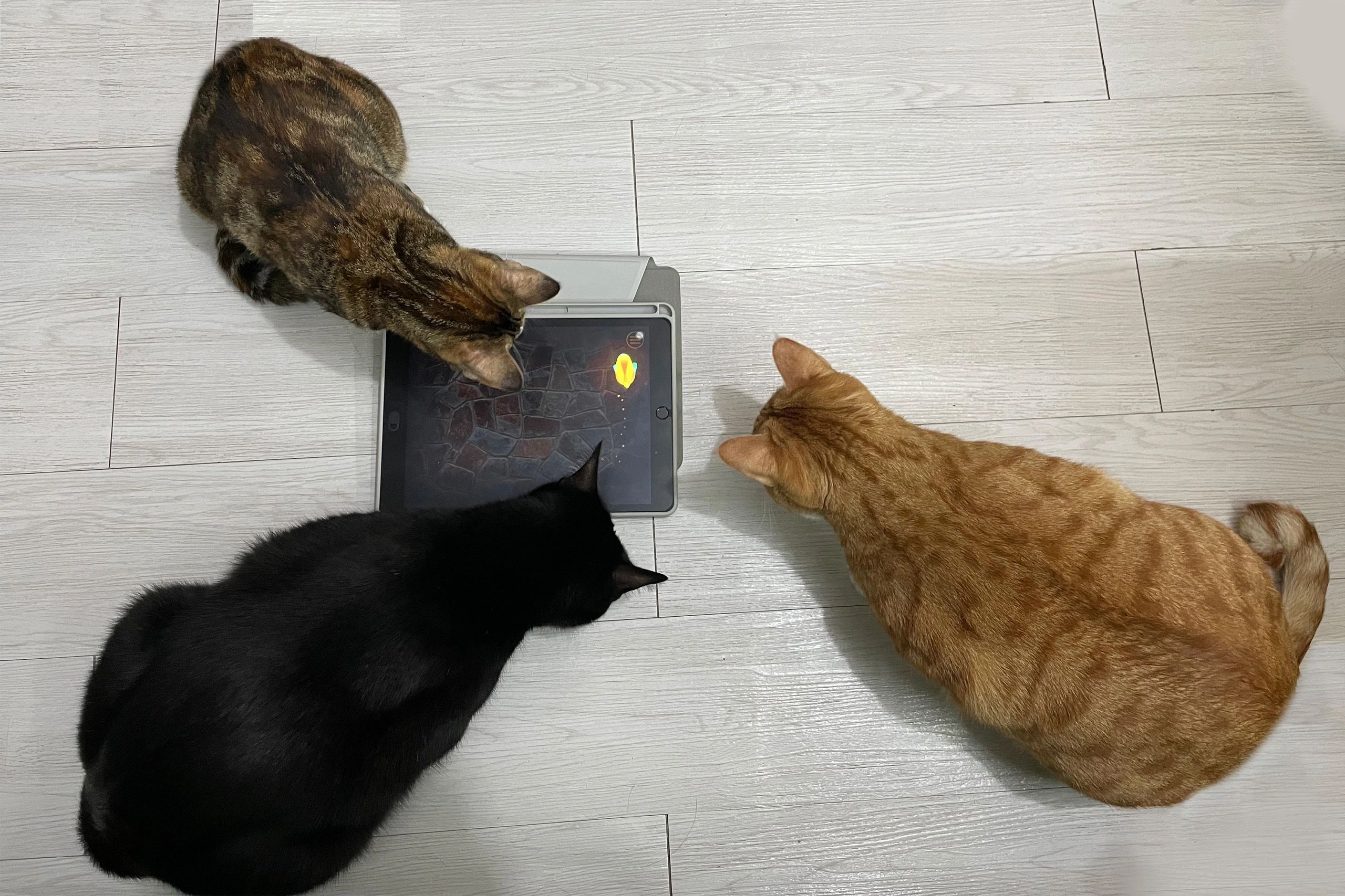 夢のような足