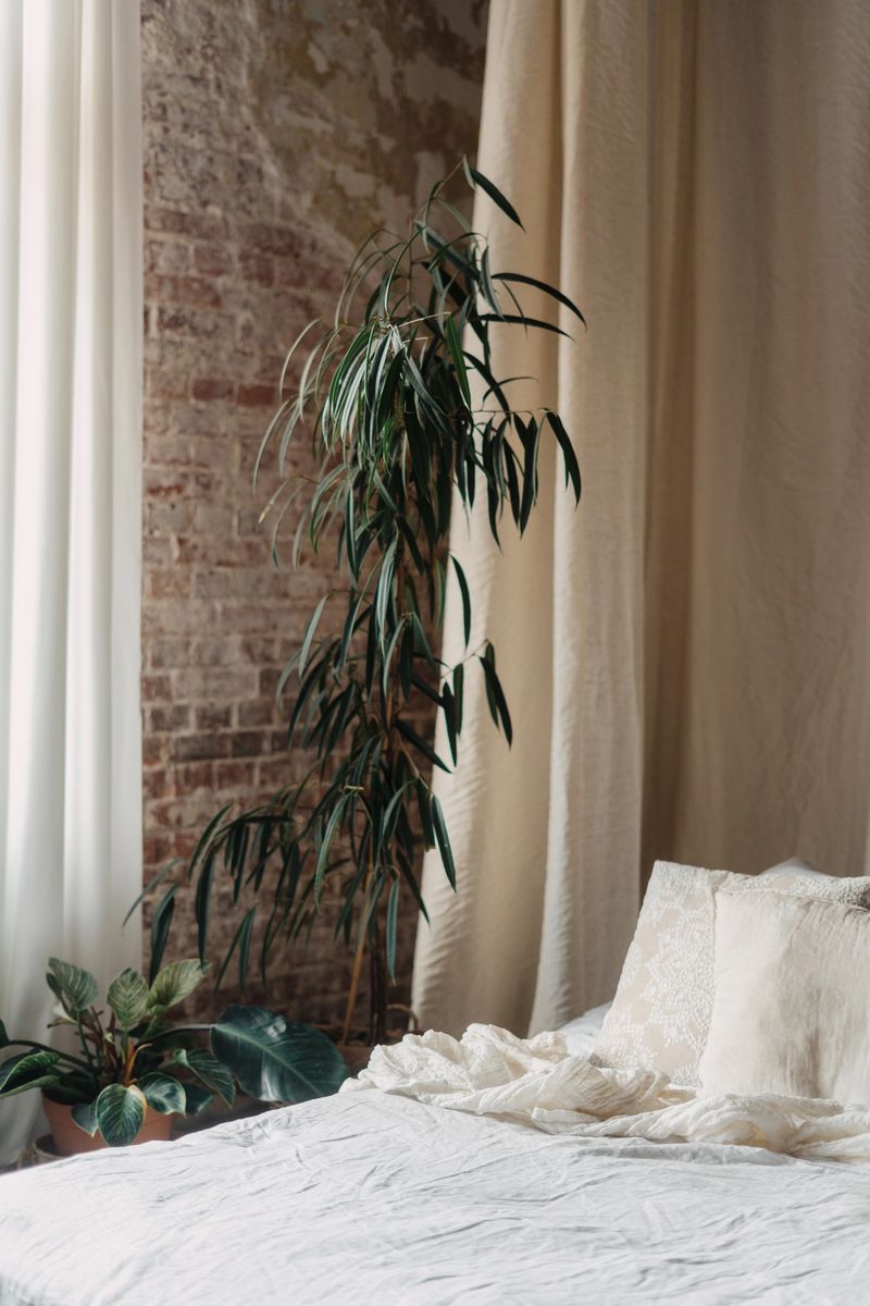 This inviting bedroom features a comfortable bed with soft white linen, complemented by plants and natural light filtering through sheer curtains, creating a serene atmosphere.